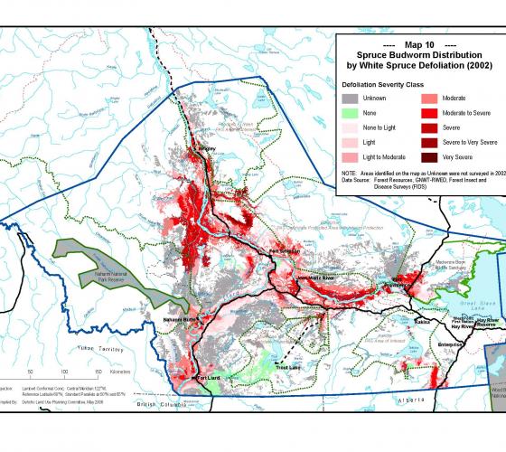 Map 10 – Spruce Budworm Distribution by White Spruce Defoliation (2002) Thumbnail